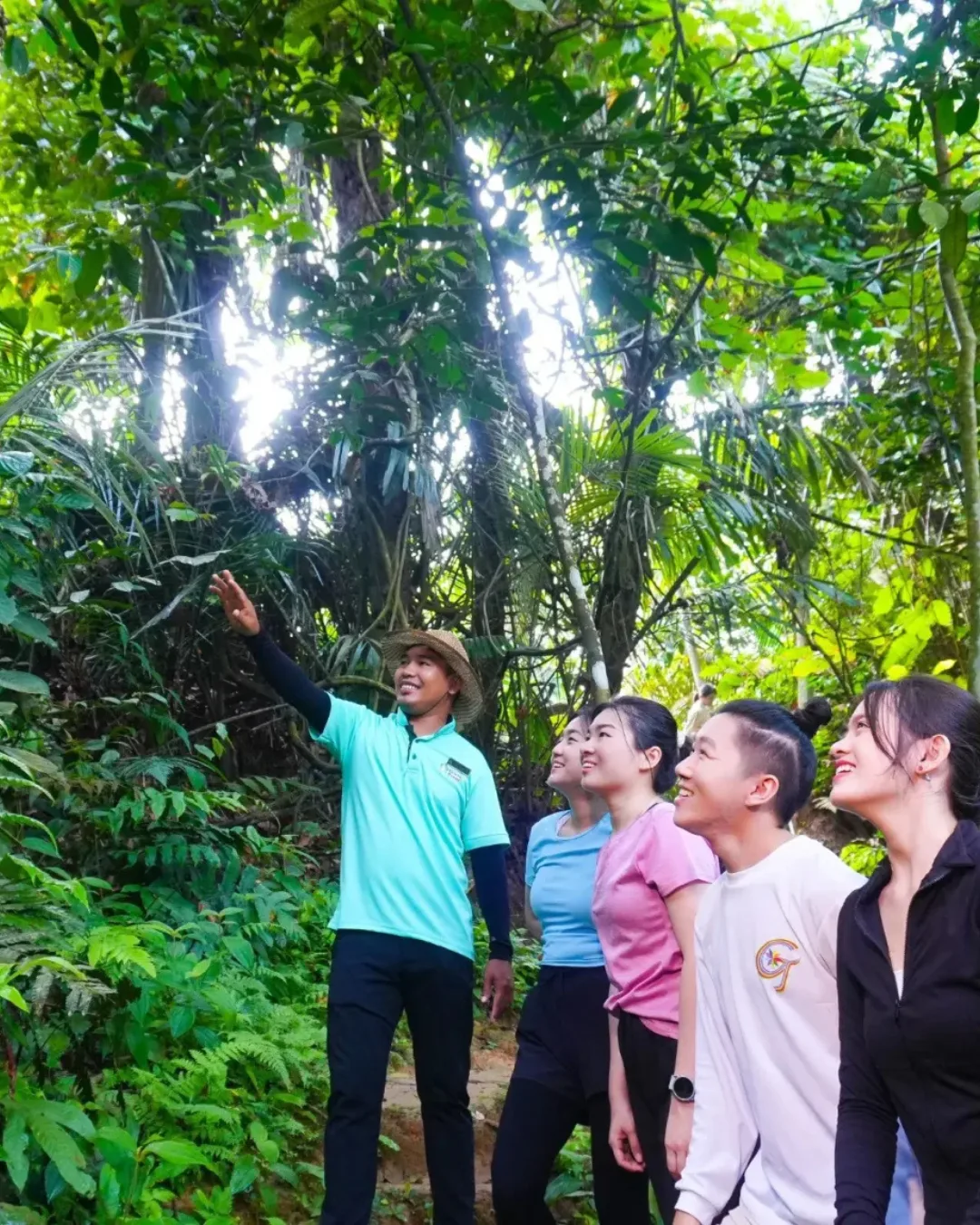Walk In Nature
